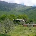 Il Bruco