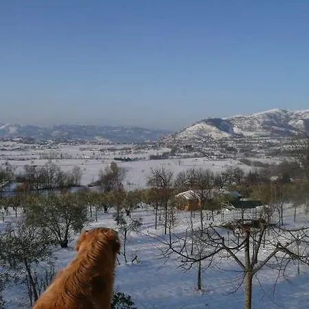Il Bruco 4*