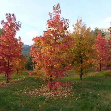 Il Bruco 3* San Donato Val di Comino