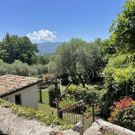 Il Bruco
