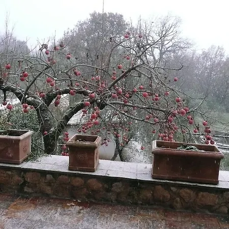 Bed & Breakfast Il Bruco In San Donato Val di Comino