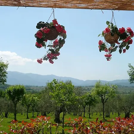 Il Bruco In San Donato Val di Comino