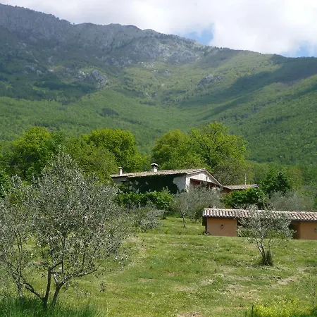 Il Bruco In